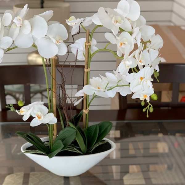 White orchid arrangement in a white bowl planter