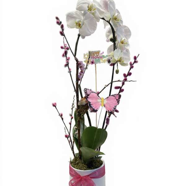 Pure Love
