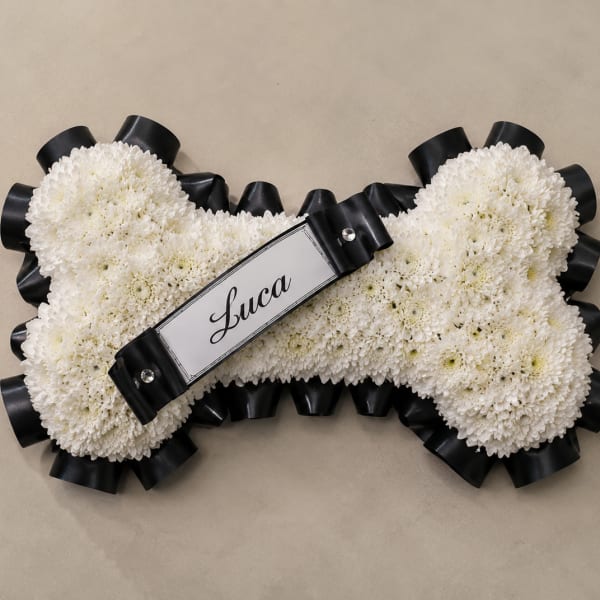 Eternal Paw Tribute Black