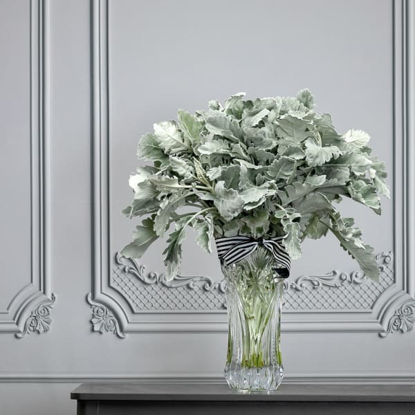 Silvery-green foliage arrangement in a clear glass vase with a striped ribbon