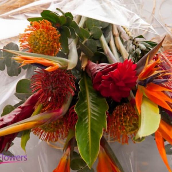 Tropical bouquet with orange bird-of-paradise and red pincushion blooms