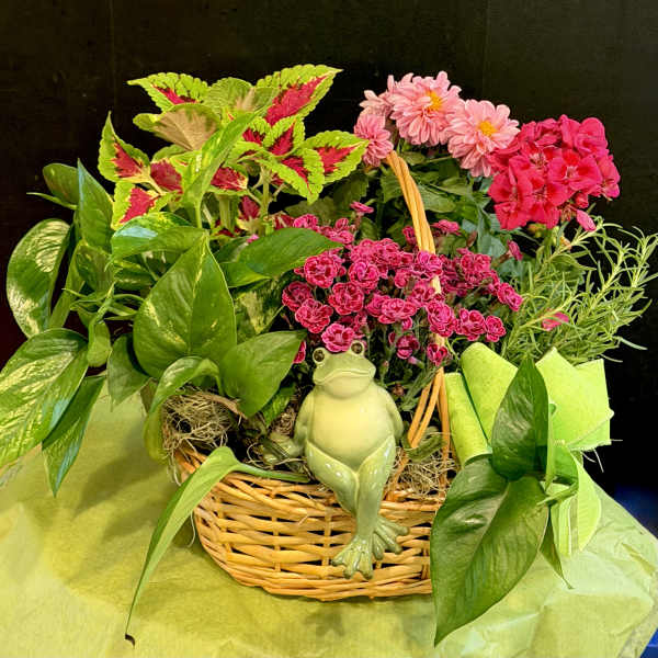 Mr. Toad’s Secret Garden