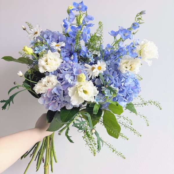 Serenity