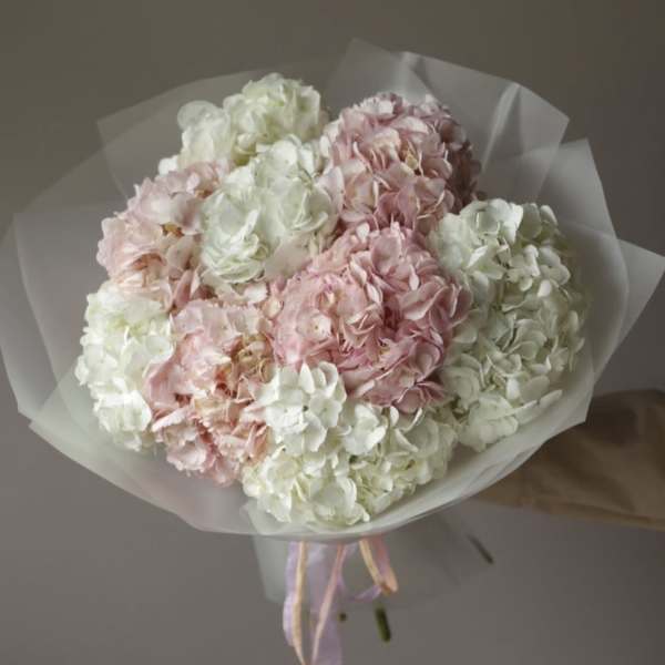 № 88