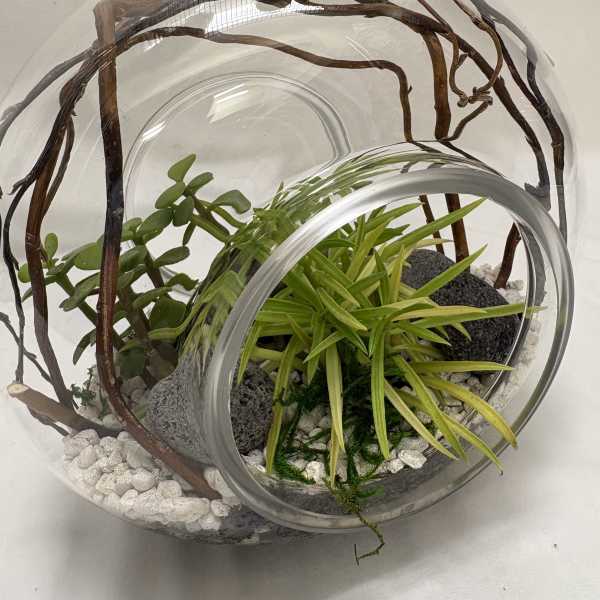 Infinity Terrarium