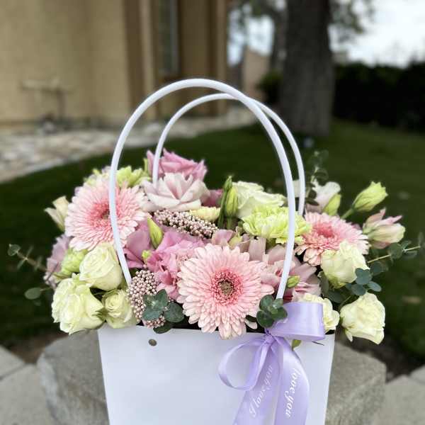 A Gentle Compliment