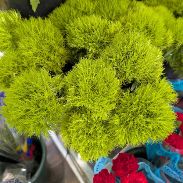 Bright green fluffy flower clusters in a market display