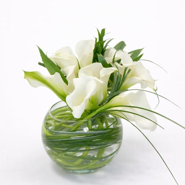White calla lilies arranged in a round glass vase