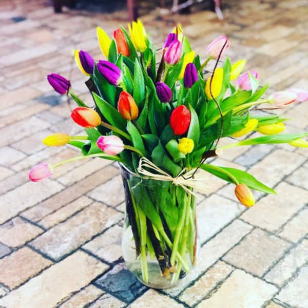 Colorful tulip bouquet in a clear glass vase