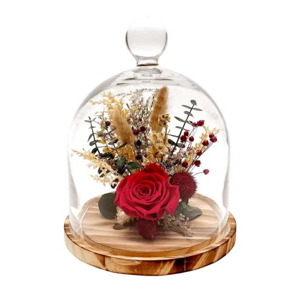 Red rose under a glass dome on a wooden base