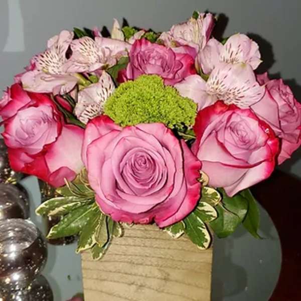 lilac in bloom