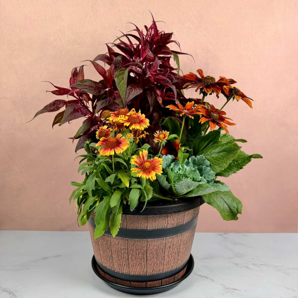 Potted arrangement of orange and yellow flowers with burgundy foliage in a wooden-look container