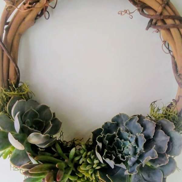 Succulent wreath on a grapevine ring with trailing bead-like greenery