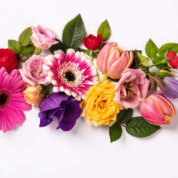 Mixed bouquet of roses, gerbera daisies, and tulips in pink, yellow, and purple