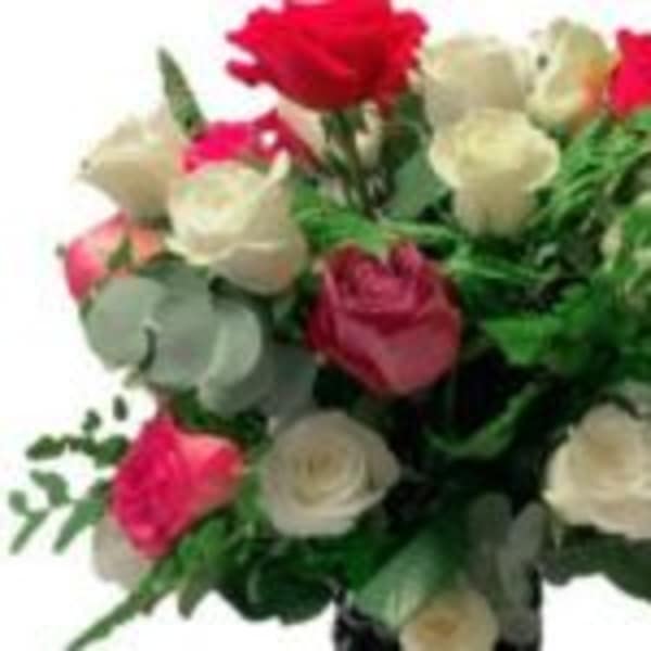 Bouquet of red, pink, and white roses with greenery