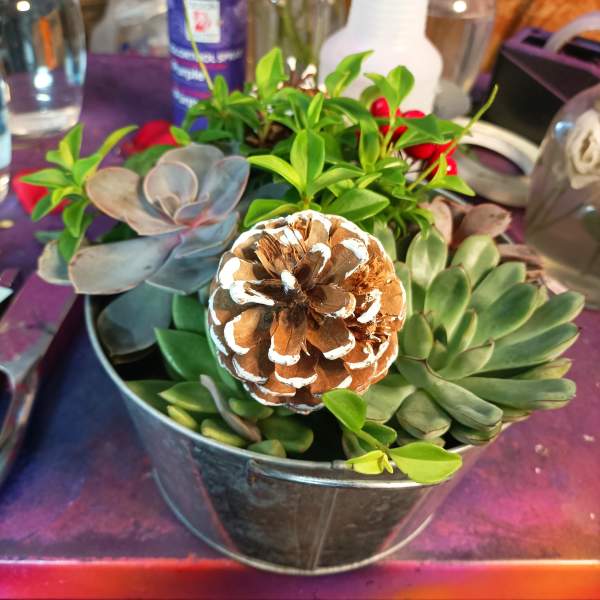 Succulent arrangement in a metal bucket with a painted pinecone centerpiece