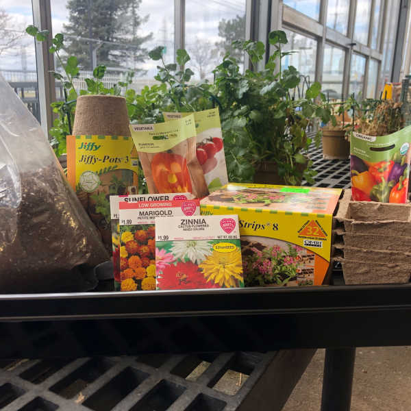 Seed packets and starter pots with potted plants on a greenhouse bench
