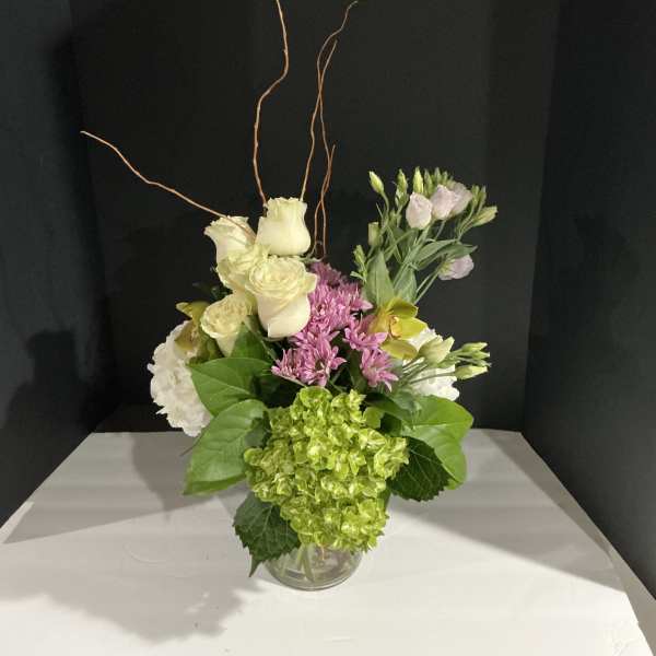 Greenish orchid