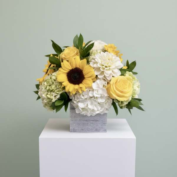 Yellow and white flower arrangement in a gray square vase
