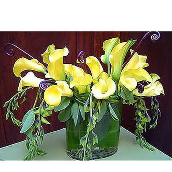 Contemporary Callas