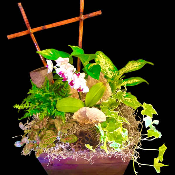 Tropical plant arrangement with white orchids in a wooden planter