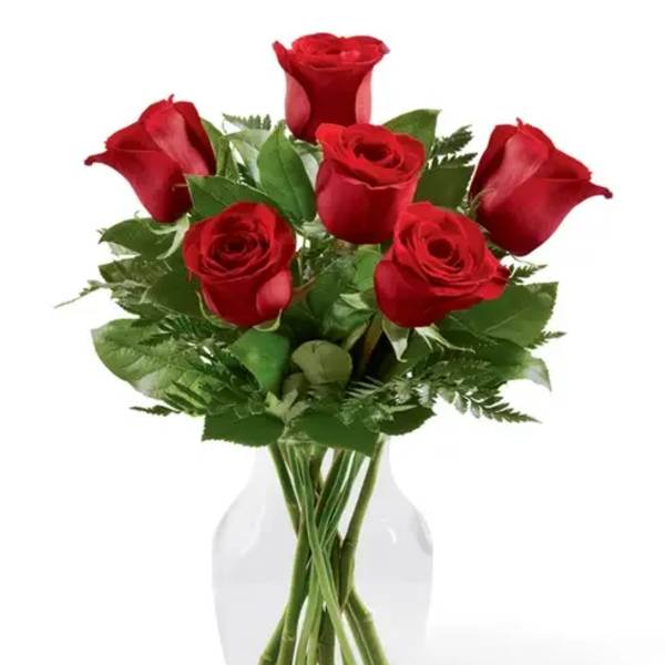 Six red roses arranged in a clear glass vase