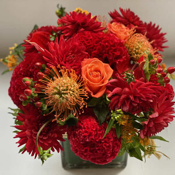 FIRE ISLAND