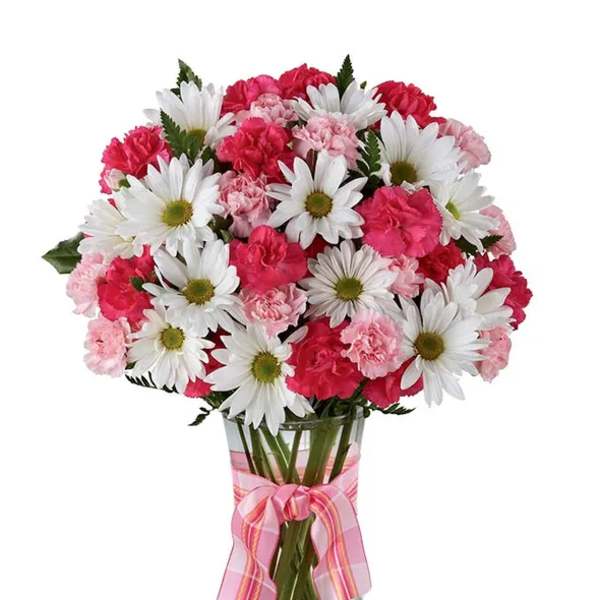 red and pink surprise