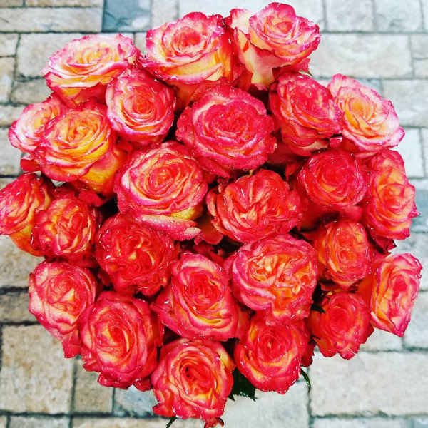 Bouquet of red and yellow roses