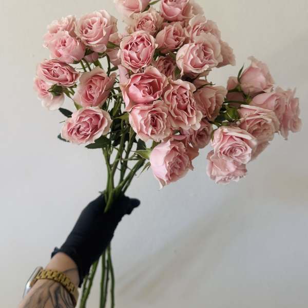 Mini roses bunch
