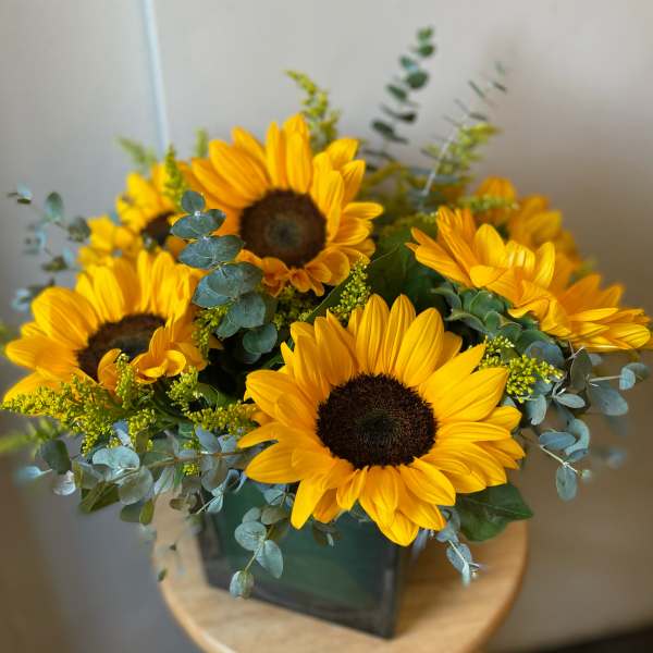 Sunflower Lover