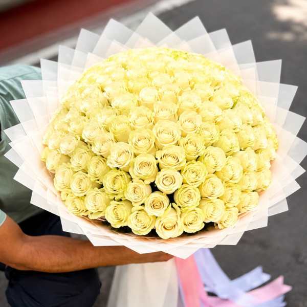 Ivory Dream Luxury Rose Bouquet (100 White Roses)