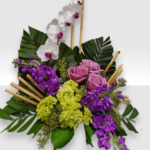 Island Breeze