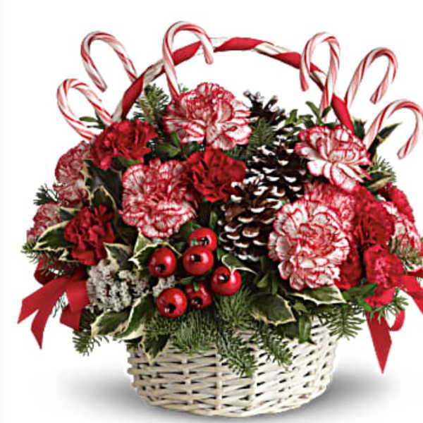 Basket arrangement with red and white carnations, candy canes, and pinecones