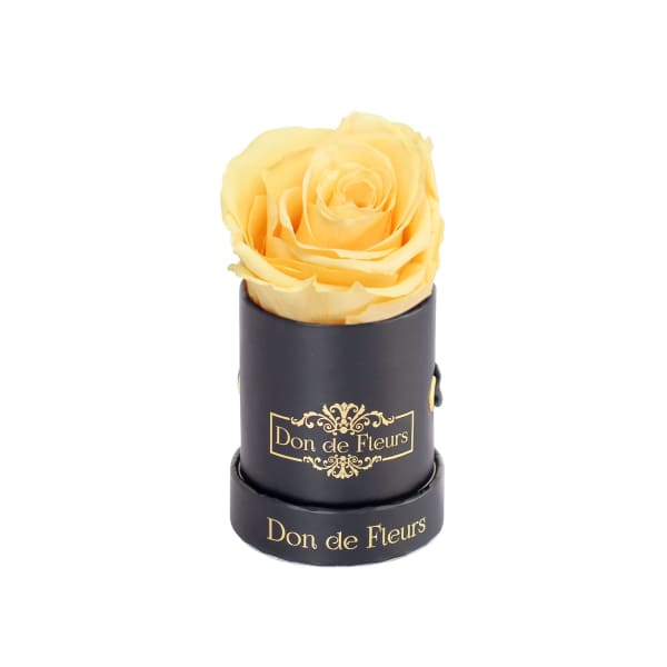 Mini Black Round Preserved Rose-Yellow