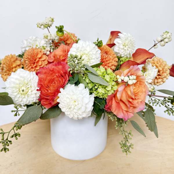 Dahlia Harvest