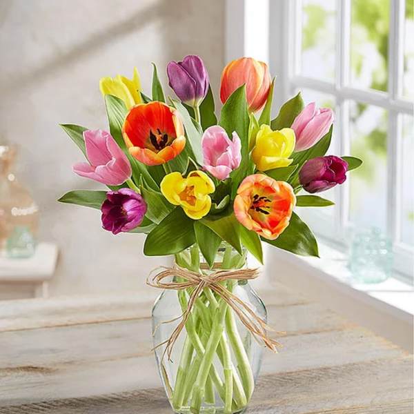 Colorful tulips arranged in a clear glass vase with a twine bow