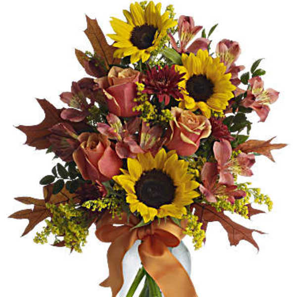 FALL EMBRACE