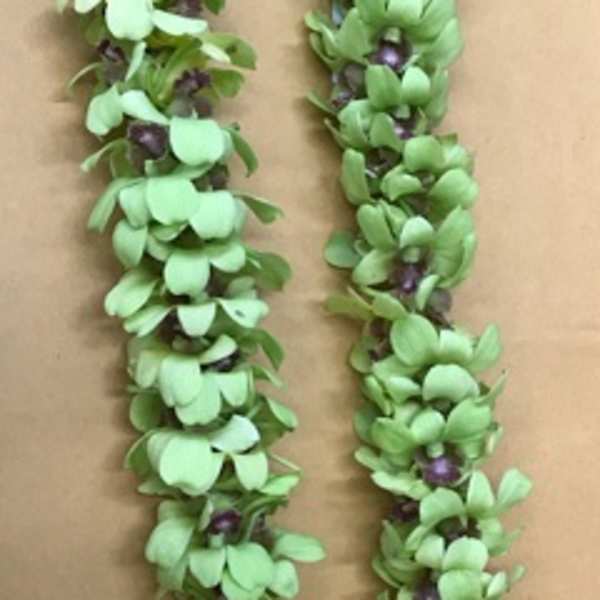 A green floral lei with small purple accents laid on a plain surface