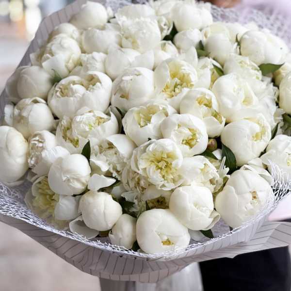 Large bouquet of white peonies wrapped in patterned paper