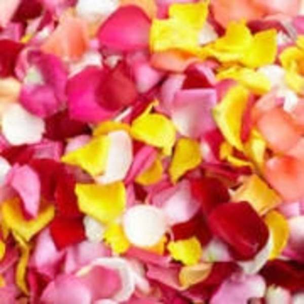 Pile of multicolored flower petals in pink, red, yellow, and white