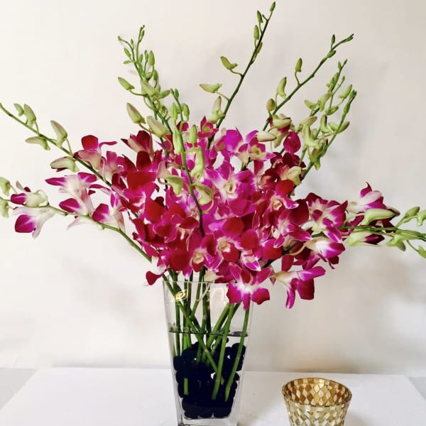 Pink and white orchids in a clear glass vase