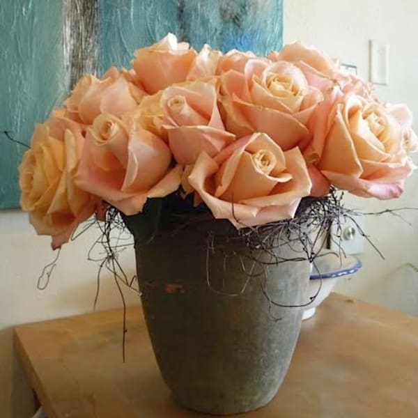 Take Me