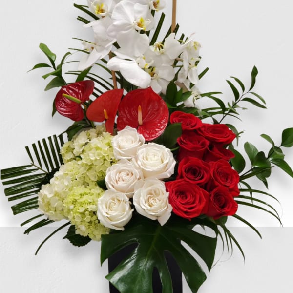 Tropical romance