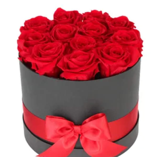 luxury amor boxe