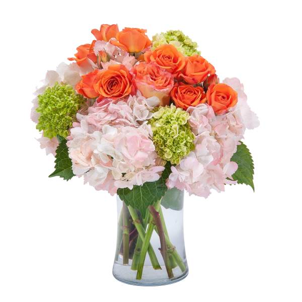 Orange roses and pink hydrangeas in a clear glass vase