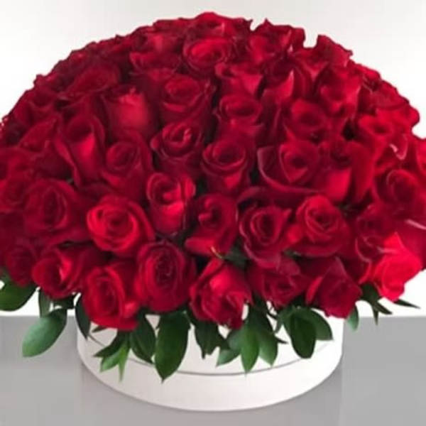 Large bouquet of red roses in a white round box