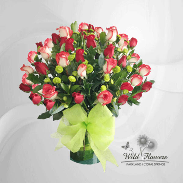 Bouquet of red and white roses in a vase with a lime green bow