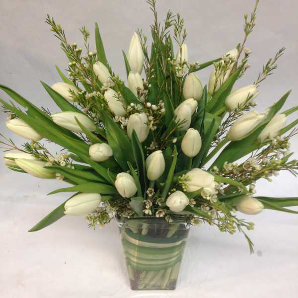 White tulips arranged in a square glass vase