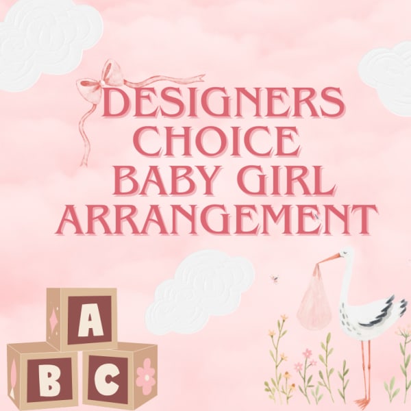 Pink baby girl arrangement graphic with blocks, clouds, and a stork illustration